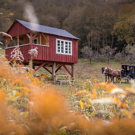 Valea Verde Retreat Transilvania Cund Екстер'єр фото