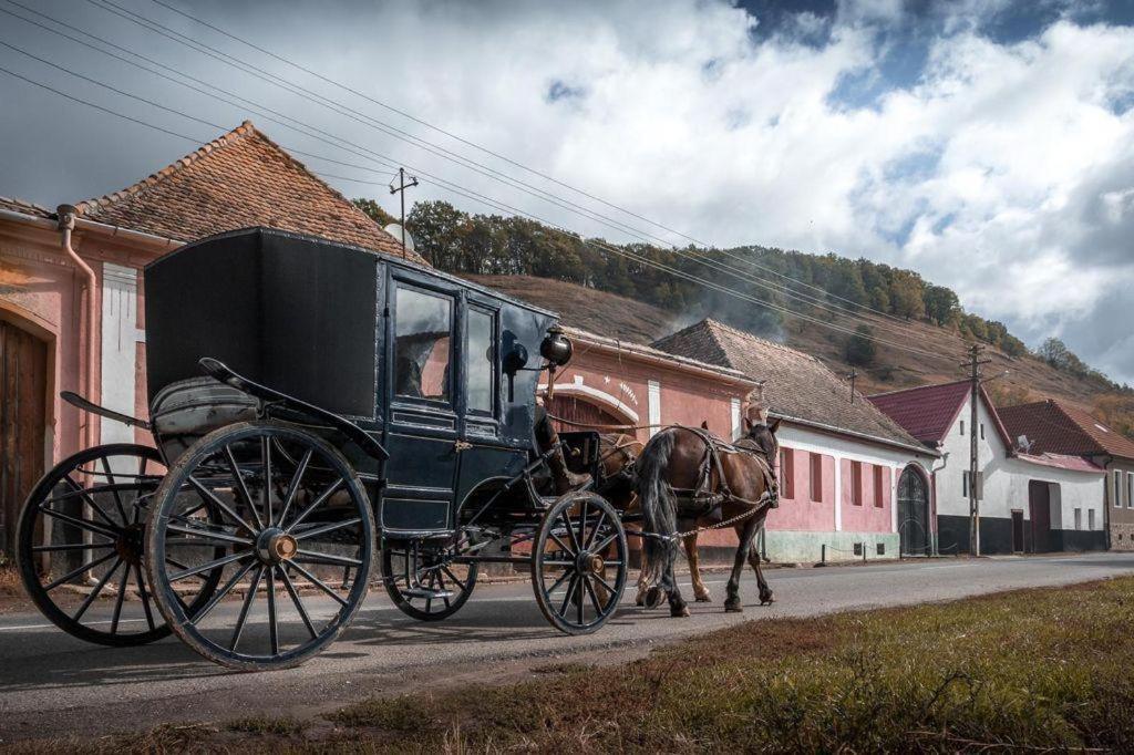 Valea Verde Retreat Transilvania Cund Екстер'єр фото