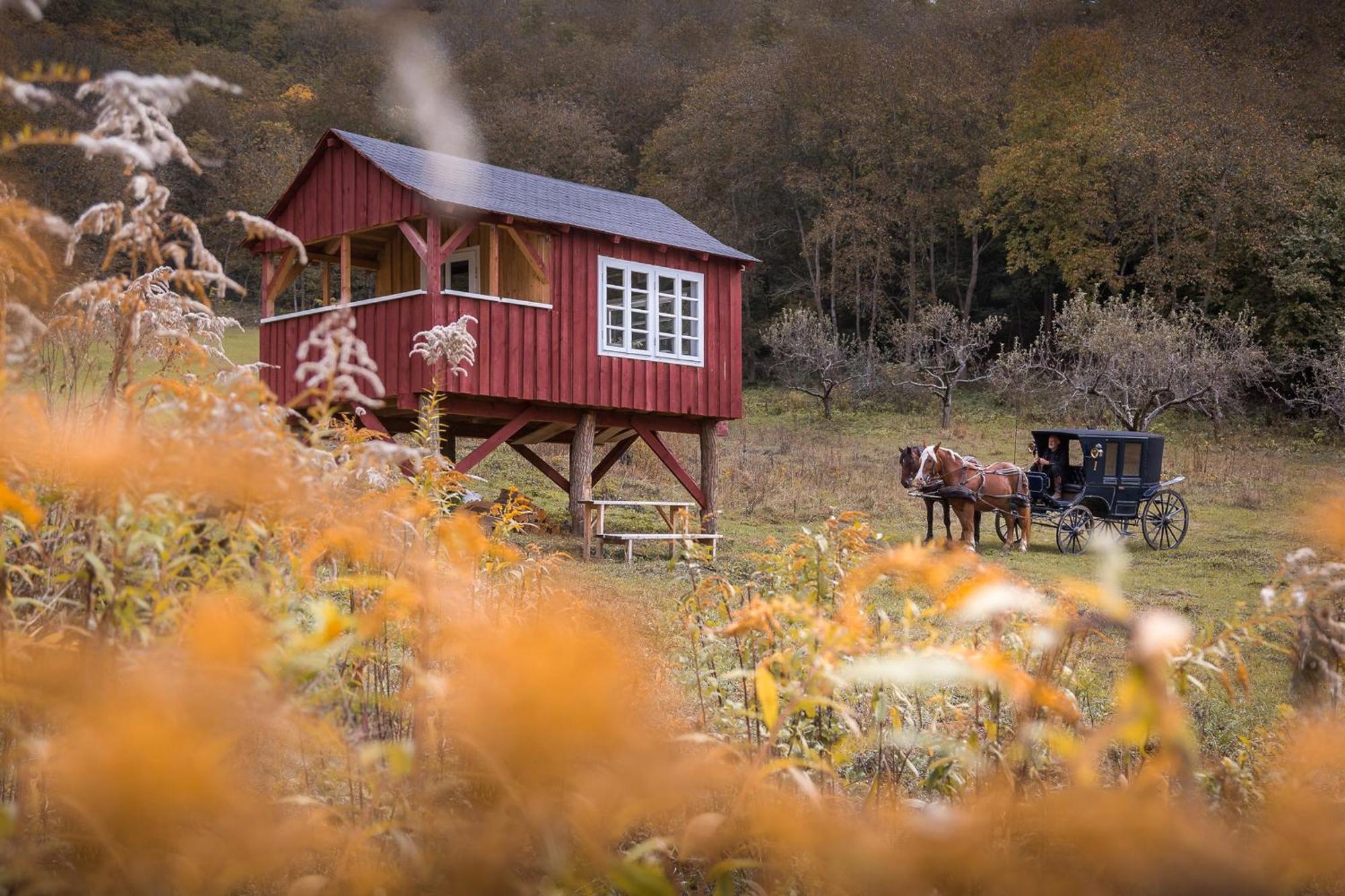 Valea Verde Retreat Transilvania Cund Екстер'єр фото